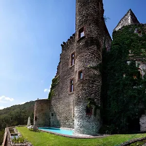 D'hotes Au Chateau De Belcastel Francia